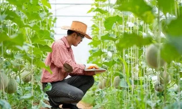 智慧农业技术服务,智慧农业科研
