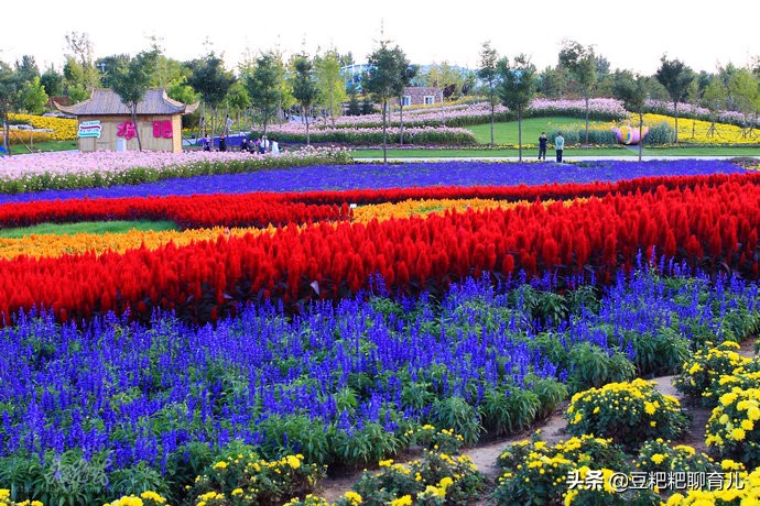 亲子游玩动物园地点推荐,假期亲子去哪玩