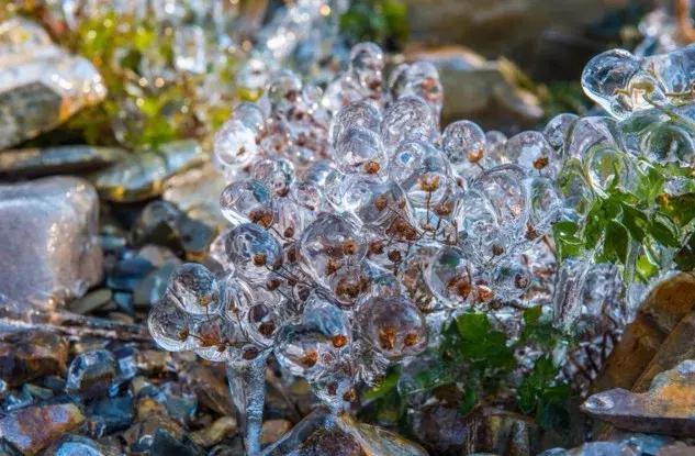 雾凇之美宛若仙境,连云港花果山雾凇美得像仙境