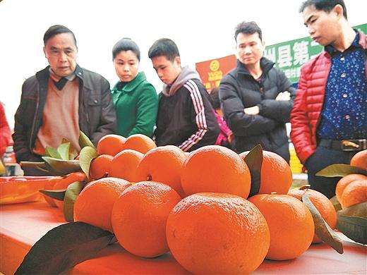 柑橘疯狂扩种下，想卖3块？5块？由你定！——果农如何卖好果