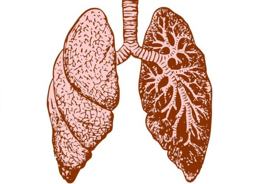 水蛭在人体吸血有毒吗,水蛭被吃进肚子里会存活吗
