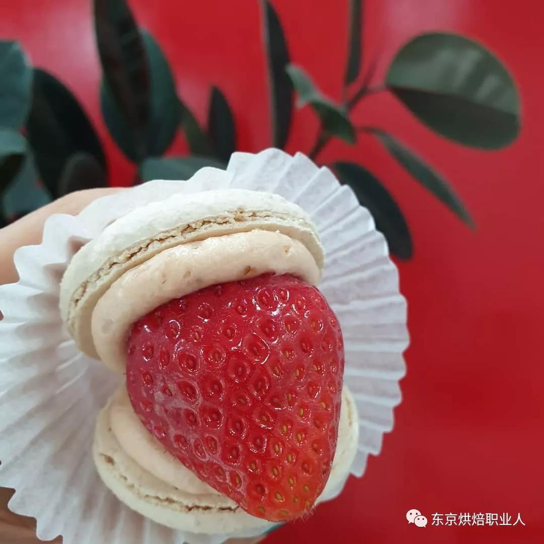 ​XXXL韩国超大size的马卡龙专卖店，可盐可甜火爆街头