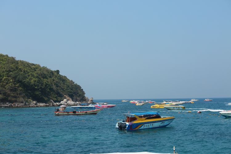 临沂人去日本旅行,临沂人去济南旅游