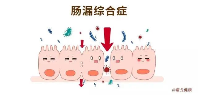 莫名拉肚子吃什么药,莫名其妙拉肚子又很容易上火