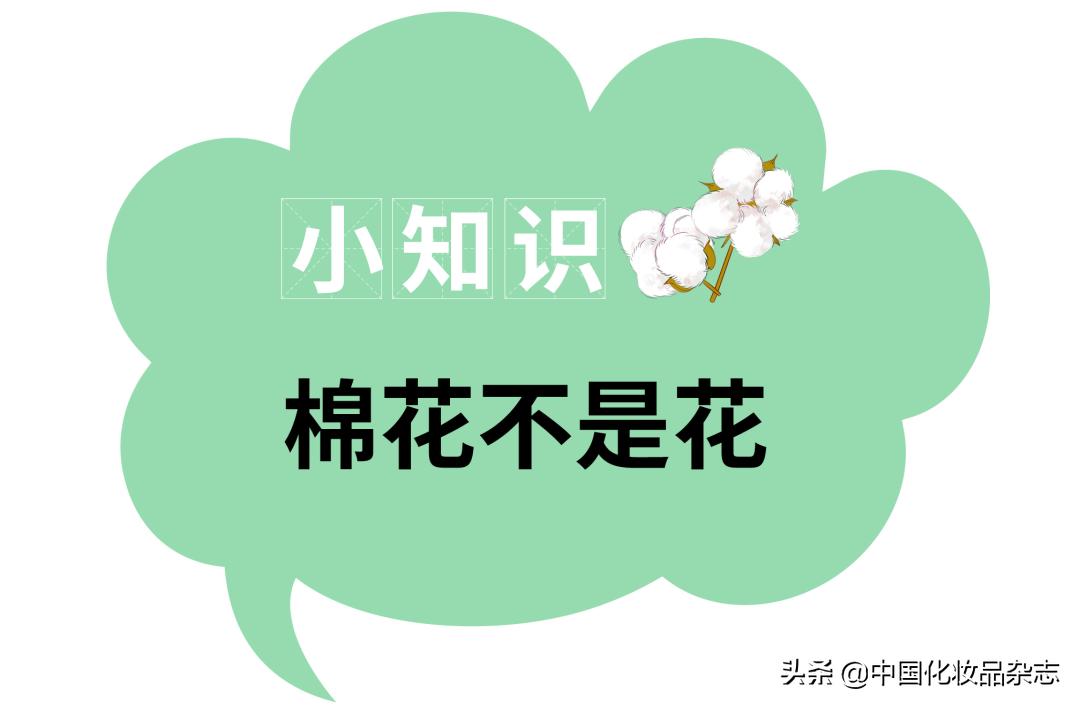 好用的化妆海棉面料推荐,化妆用的海绵叫什么