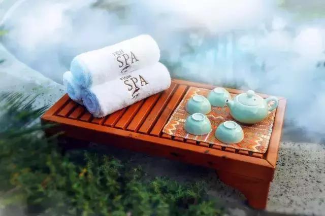 万科白天鹅鱼窝温泉,清远万科白天鹅温泉