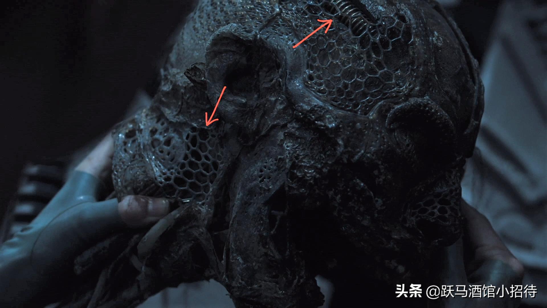 异星灾变那条蛇从哪来,异星灾变鳗鱼结局是什么