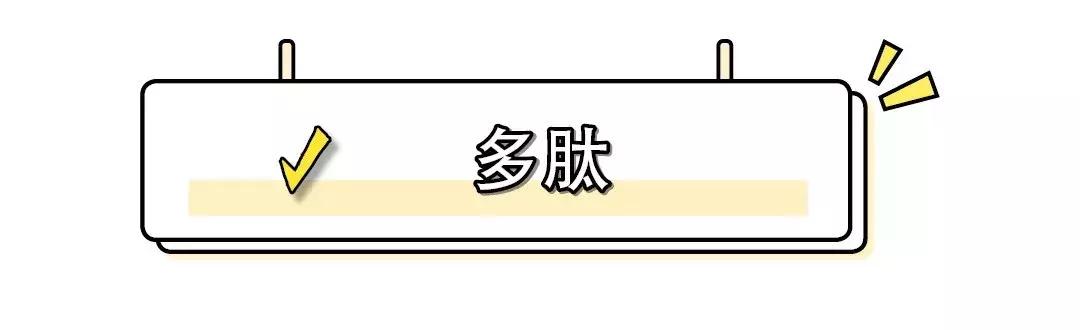 护肤美容真相,美容真相纪录片粉底液