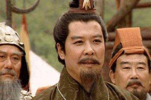 刘备伐吴和诸葛亮北伐,如果诸葛亮率兵伐吴是否会赢