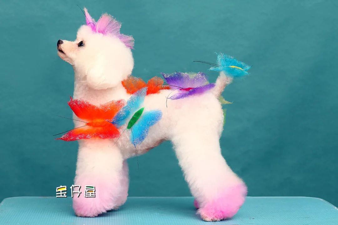 BlingBlink宠物彩妆粉亮相2021CPF广州国际宠博会