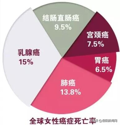 女同胞福利最新政策,国家这项政策你了解么
