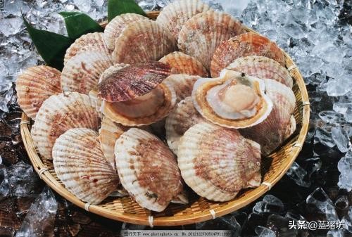 六个月宝宝除了米粉可以吃什么,六个月宝宝除了米粉还能吃什么