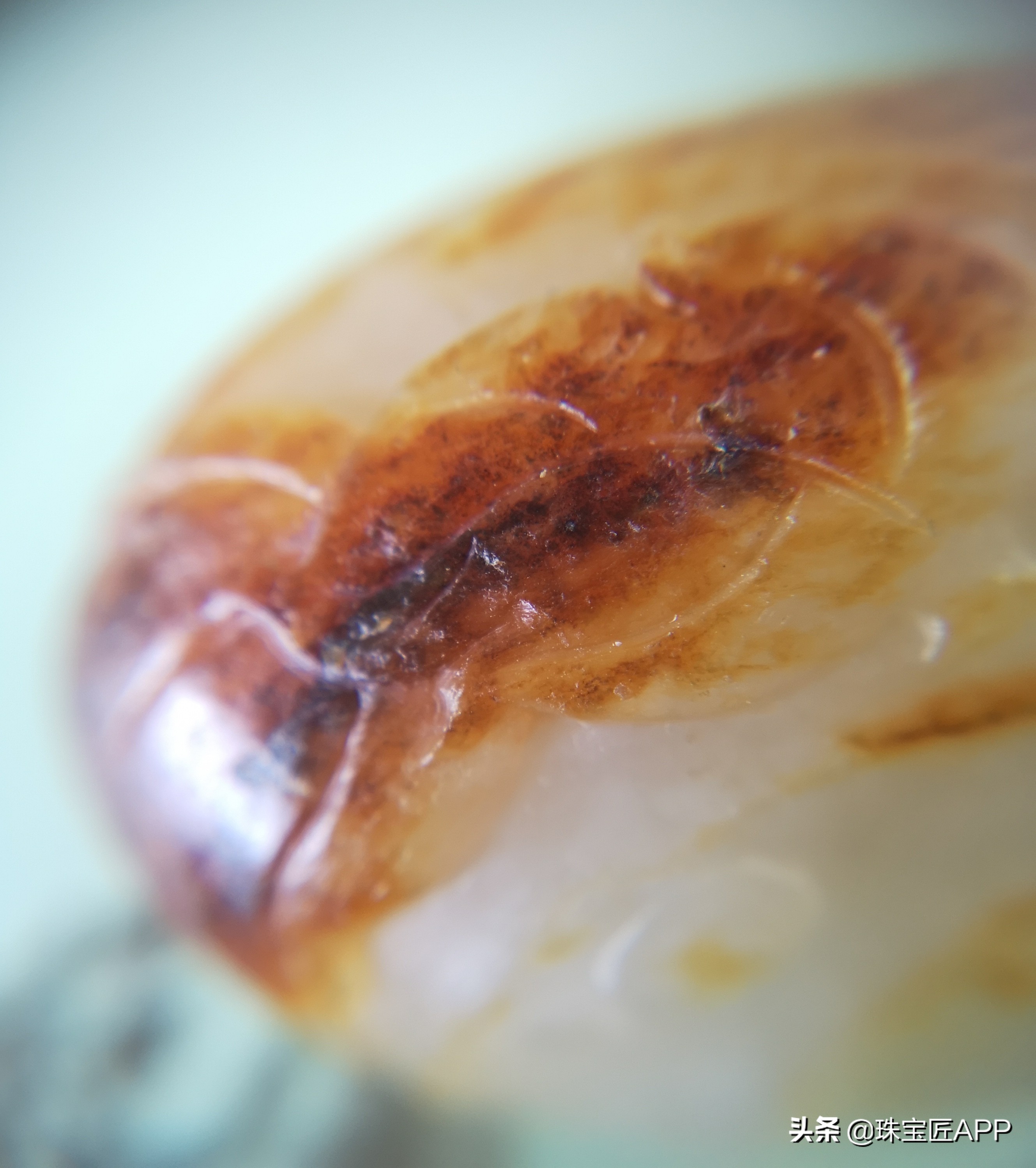 和田玉籽料如何看皮色真假,怎样辨别和田玉籽料真假或皮色