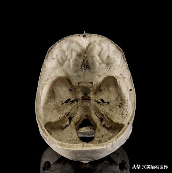 你知道这是什么吗韩语,你知道这是什么吗日语