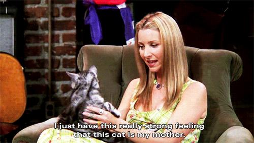 姝灉浠佸鏄熷骇璇勪环,姝灉浠佺溂涓殑鏄熷骇