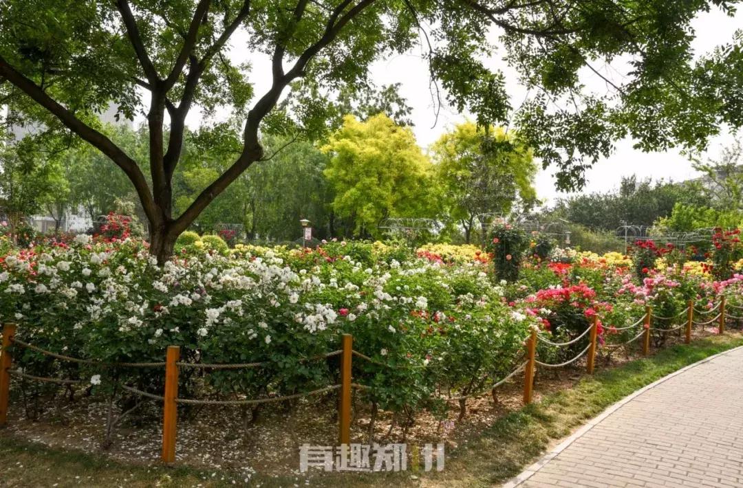 郑州地铁5号线沿线美景,郑州地铁5号线景点适合3月打卡地