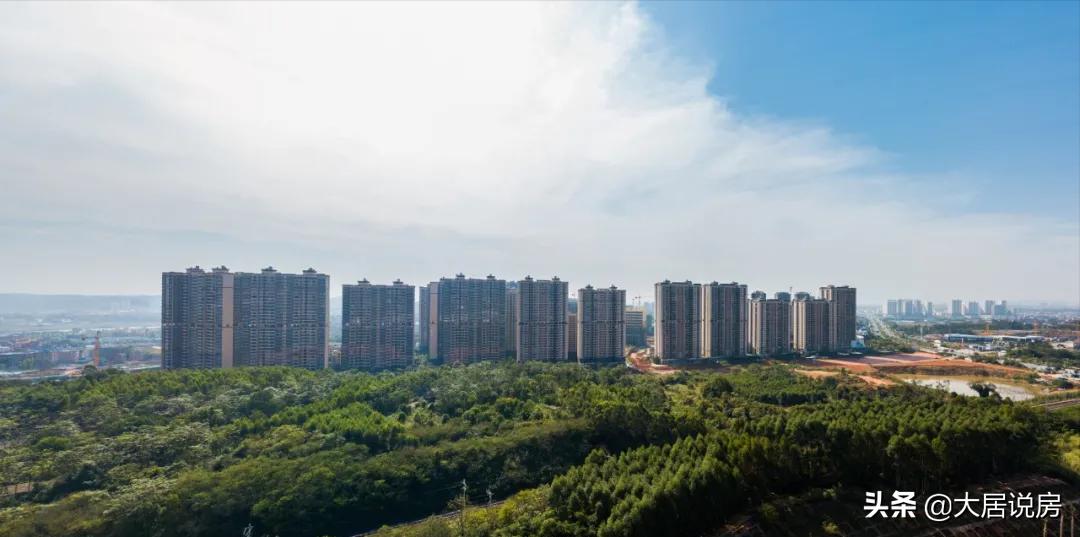 曾一度被看好，如今却陷入争议，龙岗没有前途了？