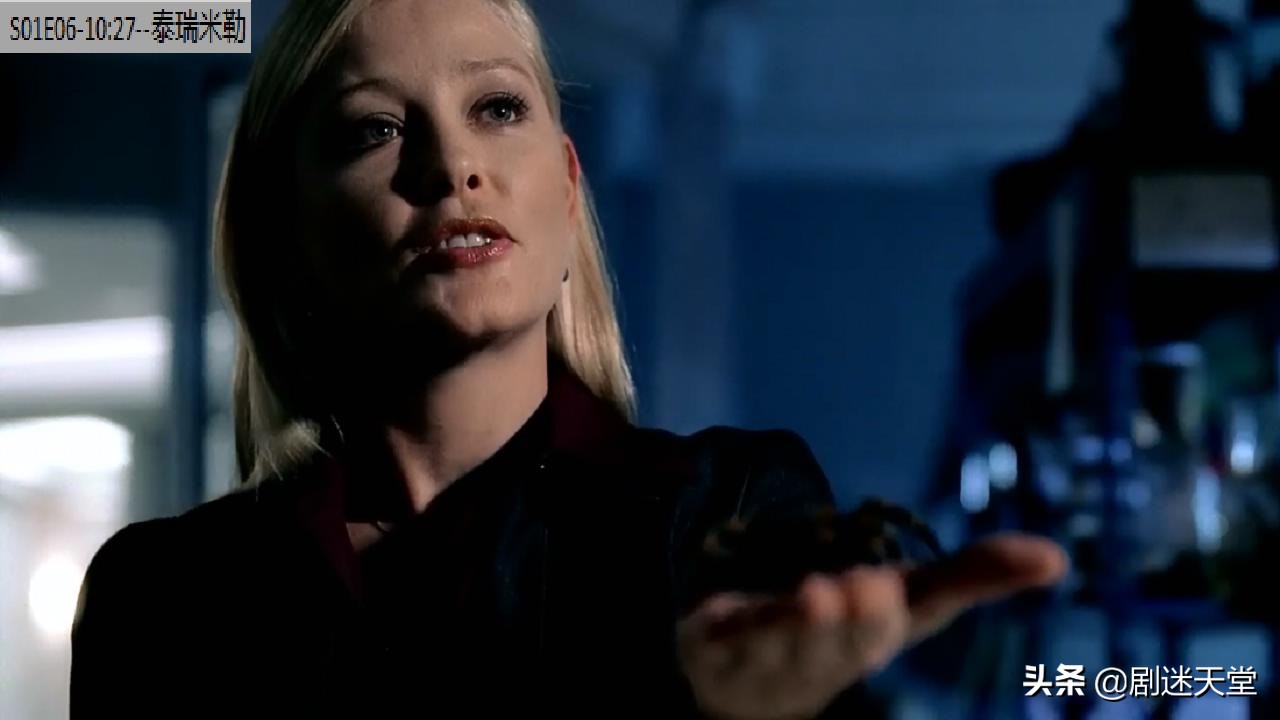 csi犯罪现场调查人物介绍,csi犯罪现场调查第二季演员