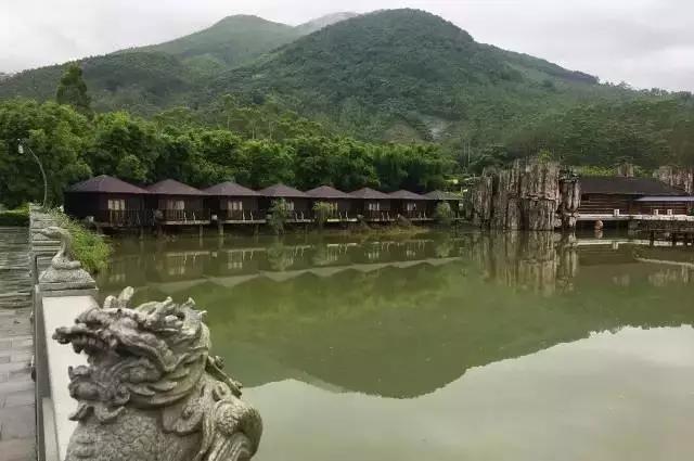 惠州怡情谷温泉酒店套票,惠州博罗怡情谷温泉酒店