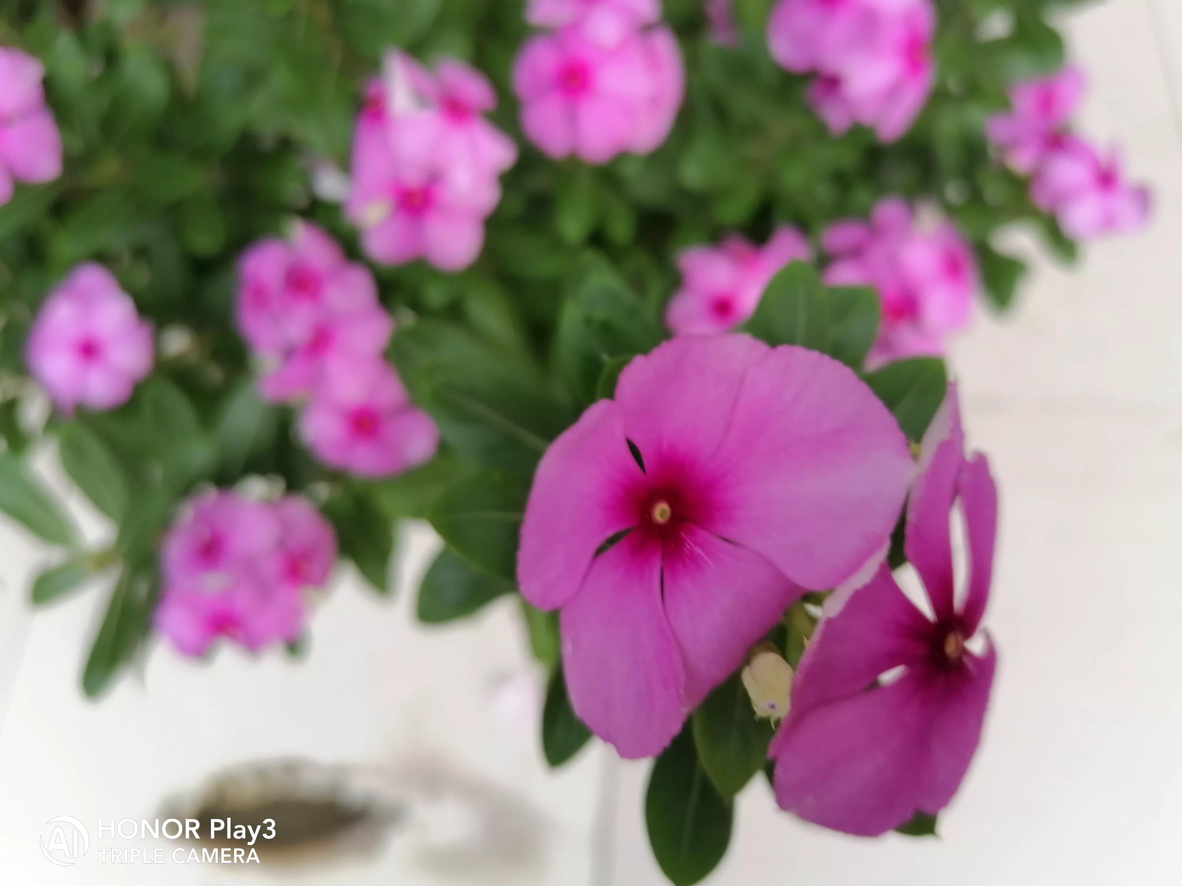 信用卡为什么很少申请强制执行,信用卡一年没还被法院执行怎么办