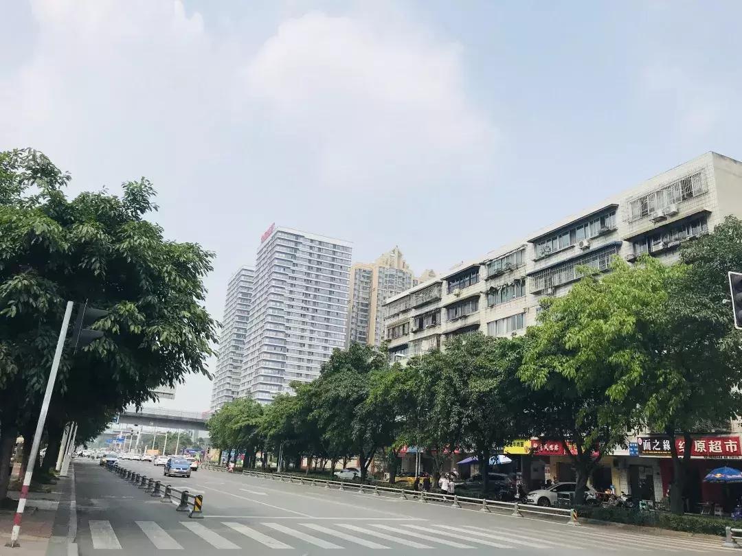 每个郫筒二小毕业的，都是在石牛公园耍大的