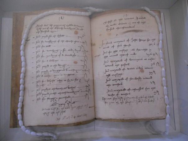 祖传老西医，专治黑死病