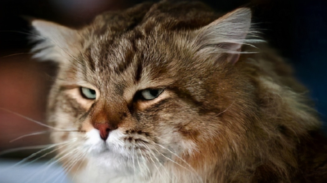 养生避坑指南你真的懂科学养生吗,当代最流行的健康养生方式