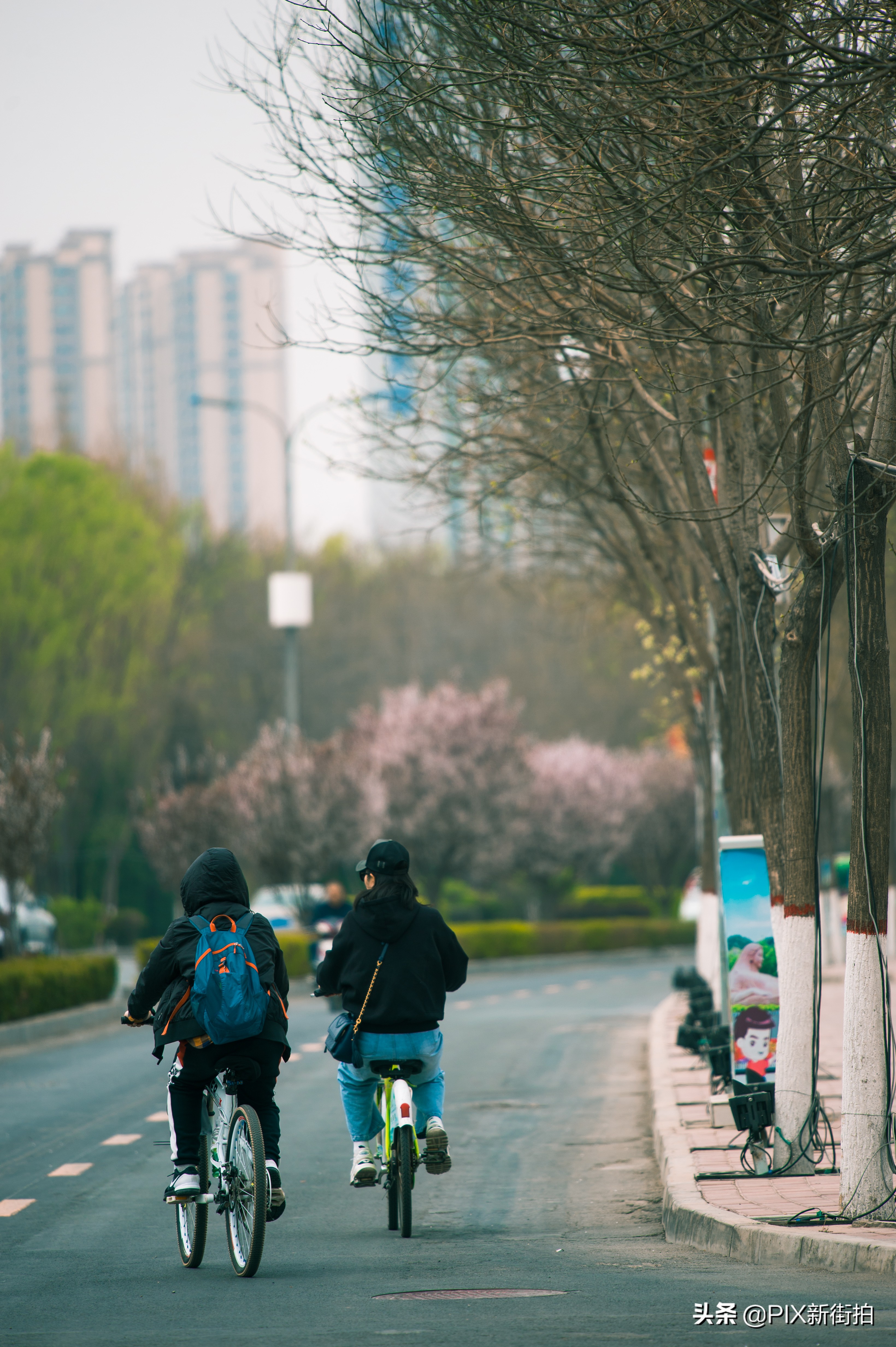 尼康70-300mmf4.5-6.3画质测评,尼康70-300和70-200f4的选择