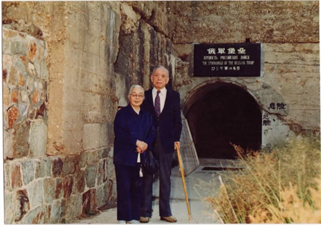 徐利治著作,数学家徐利治