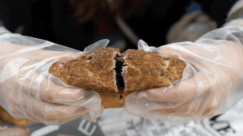 乐乐茶原创,乐乐茶众生相