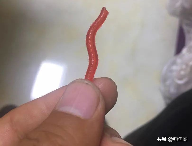 “拿假蚯蚓来钓我！你当我傻么”，用仿生饵挂钩，鱼都想骂人