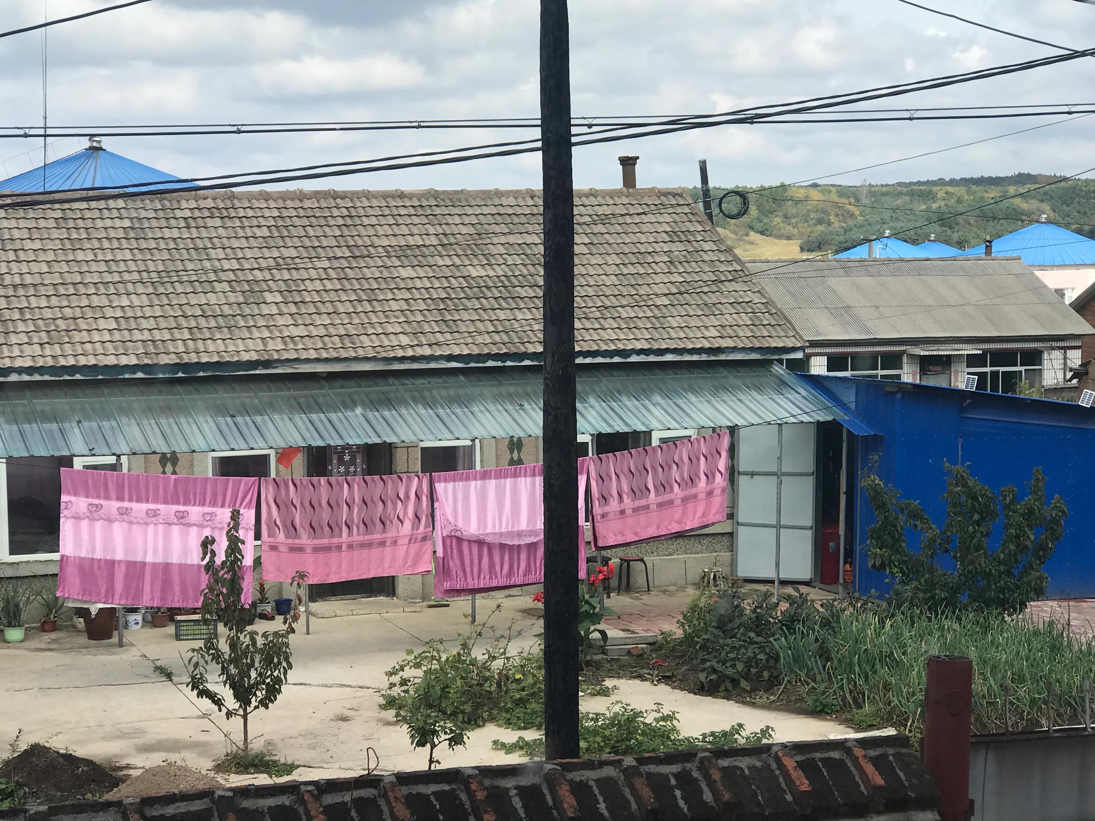 长白山脚下美丽的松山镇，因千岁的红豆杉而闻名