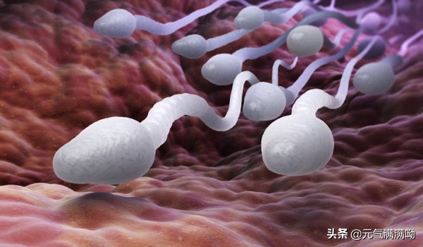 梦遗什么情况下会发生,梦遗是什么情况下导致的