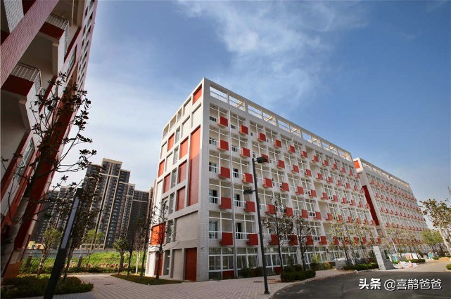 郑州外国语中学初中实验视频,郑州外国语初中和郑州实验外国语