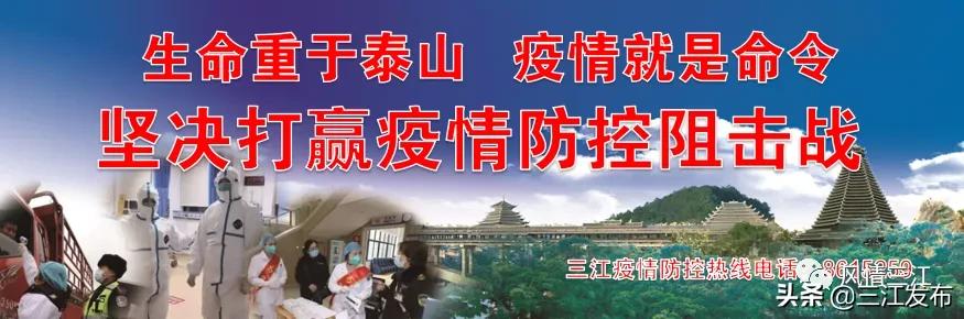 侗乡赶制早春茶,春茶上市喝真茶还是套路