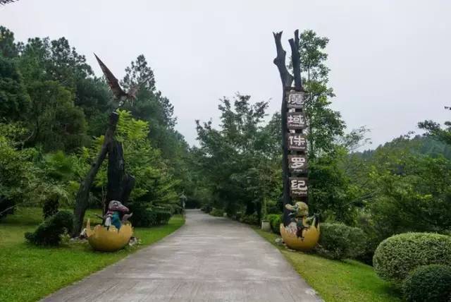 倒数狂欢夜,清远森波拉奇妙世界主题乐园住宿