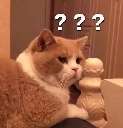 市面上假的美心月饼,你买到过哪些离谱的劣质产品