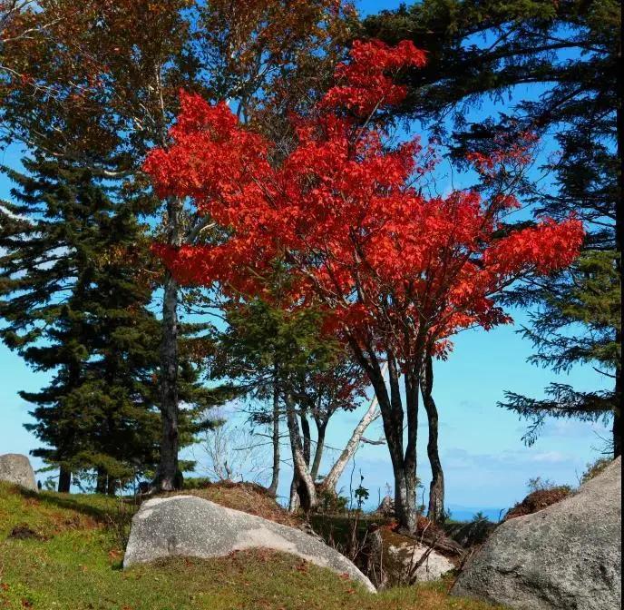 假期逛景区一大波优惠等着您,景点优惠活动视频