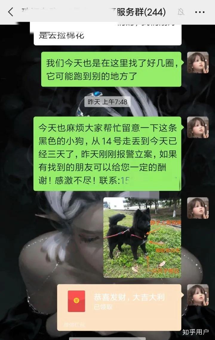狗狗走丢了可以报警吗,狗狗走丢了会自己回来吗