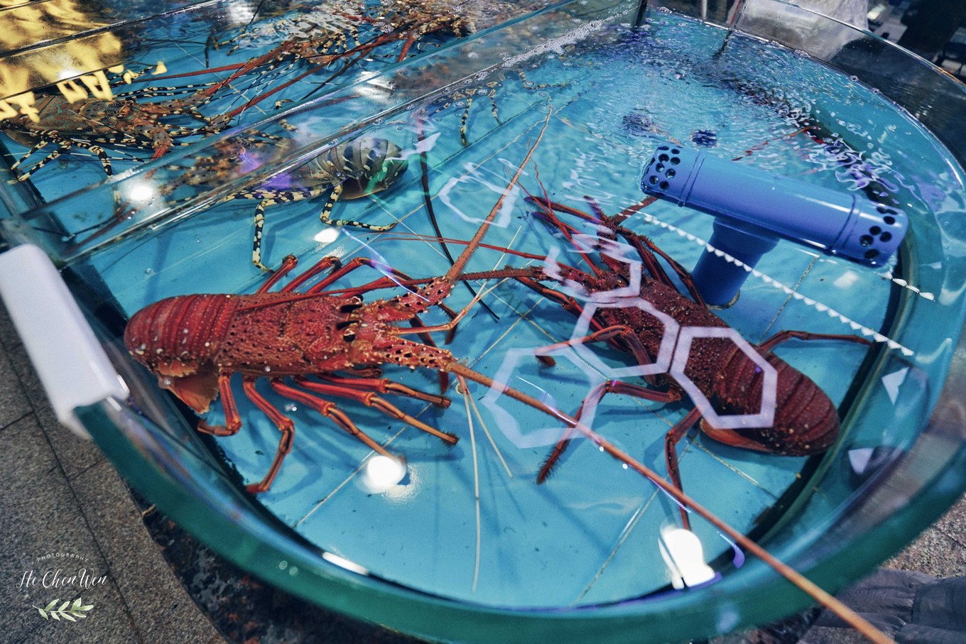 去三亚美食攻略,在三亚夏天要吃海鲜才过瘾