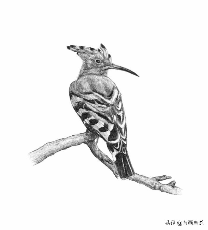 创意素描图片临摹大全4k,零基础简单素描画临摹