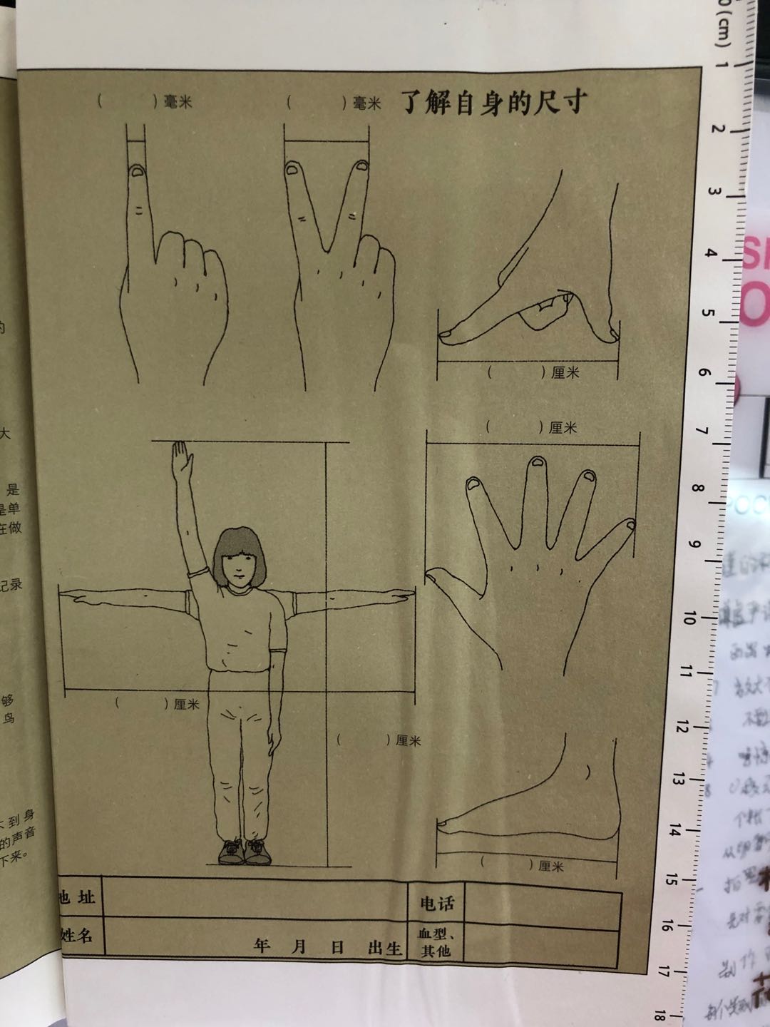 蜘蛛为什么不是昆虫,蜘蛛是不是昆虫为什么是昆虫