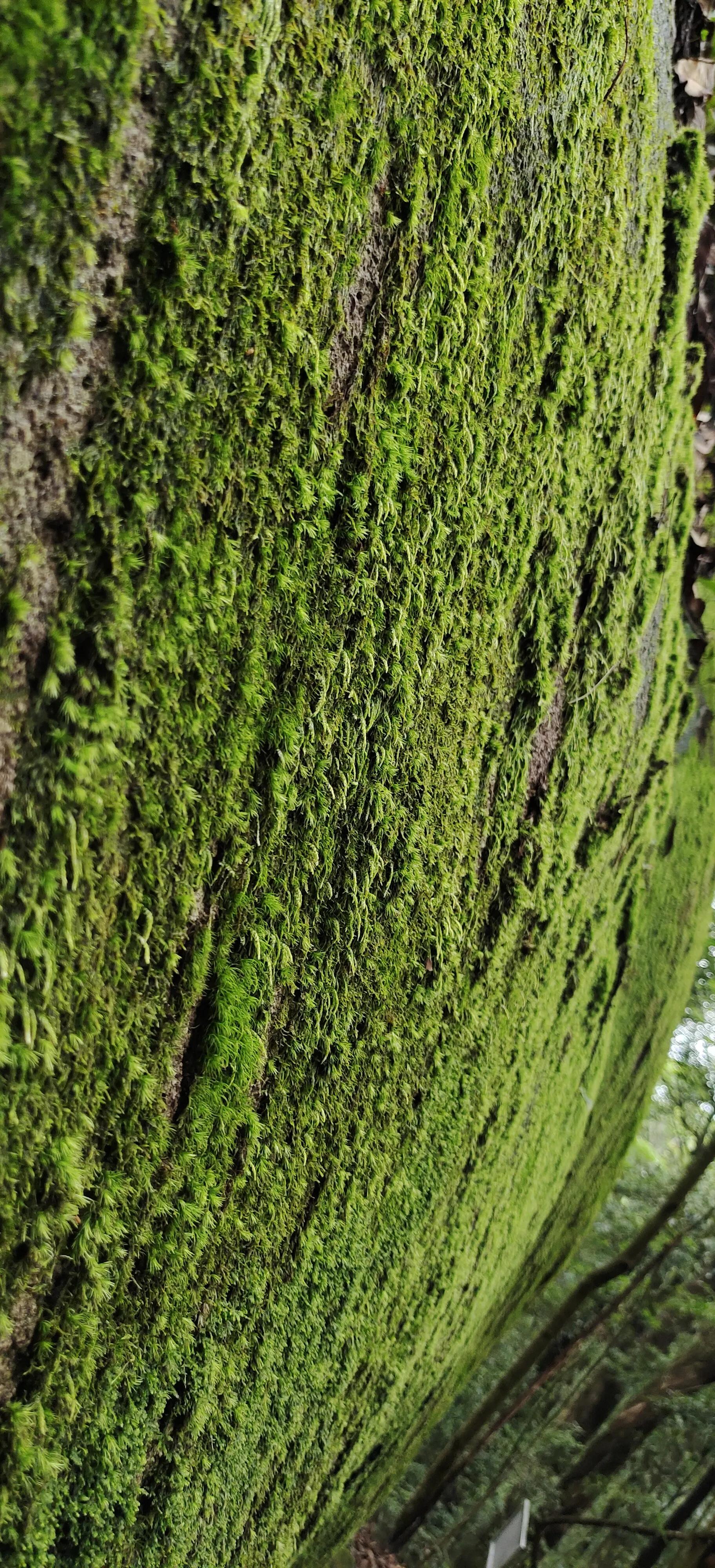 登上绝壁悬崖感受一览众山小,登上泰山之巅的感觉