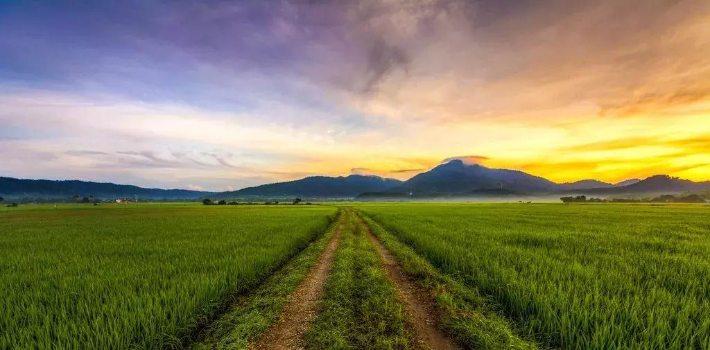 马来西亚的海,马来西亚的最美海是什么样的