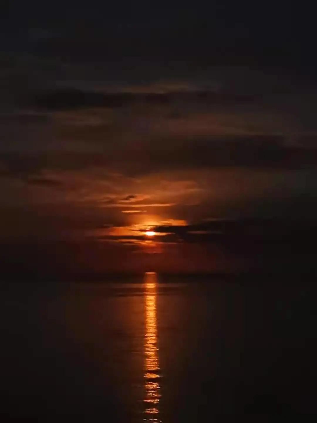 一叶访谈2019,一叶访谈