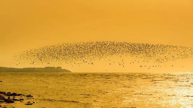 甭管你是哪里人，这份“营口生活指南”一定要收藏！