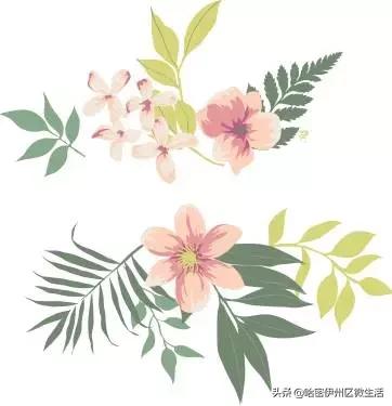 非遗文化买买买,非遗购物直播