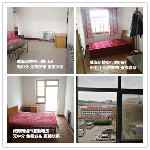 山东威海互助平台,威海租房网个人直租