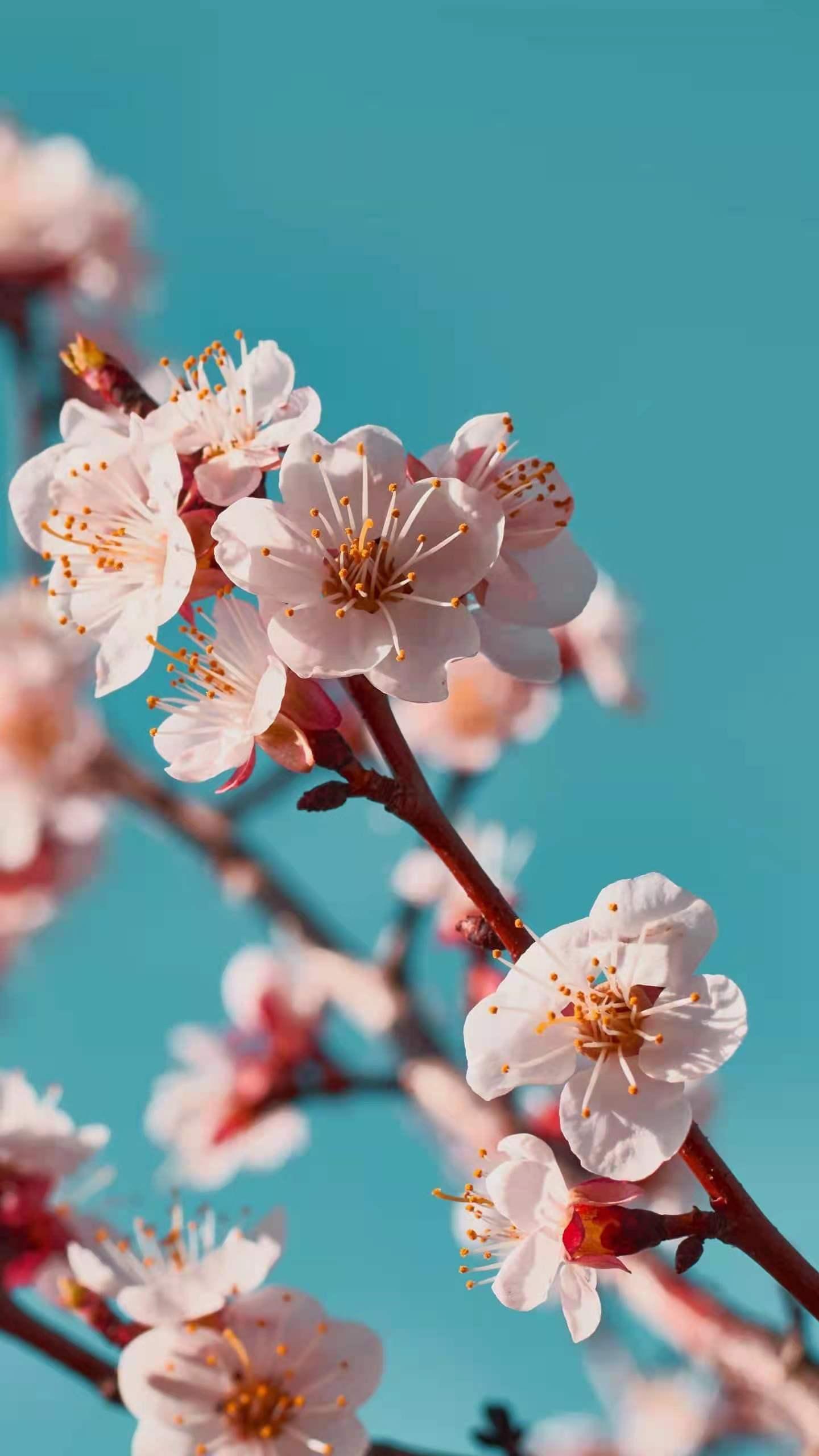 怯场后语无伦次,演讲的技巧和方法不怯场