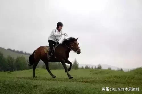 自驾游山东日照网红打卡旅游攻略,东夷花仙子美景